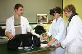 AUSCULTATION 143